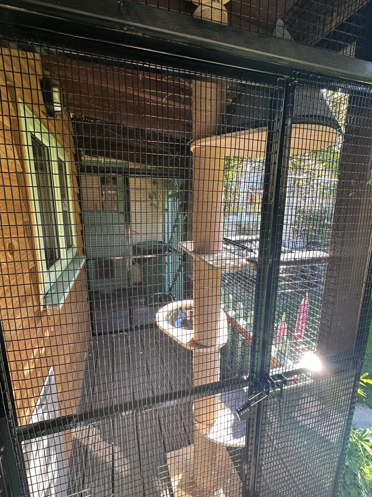 The cattery accommodation